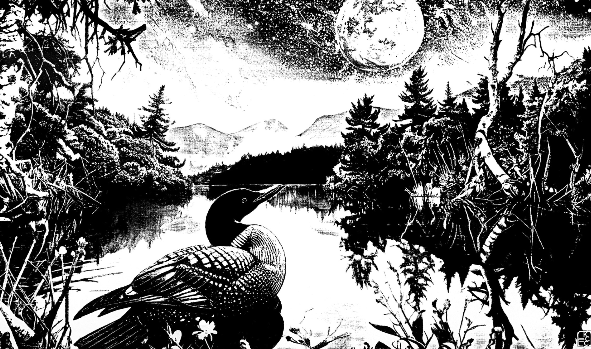 Night Loon