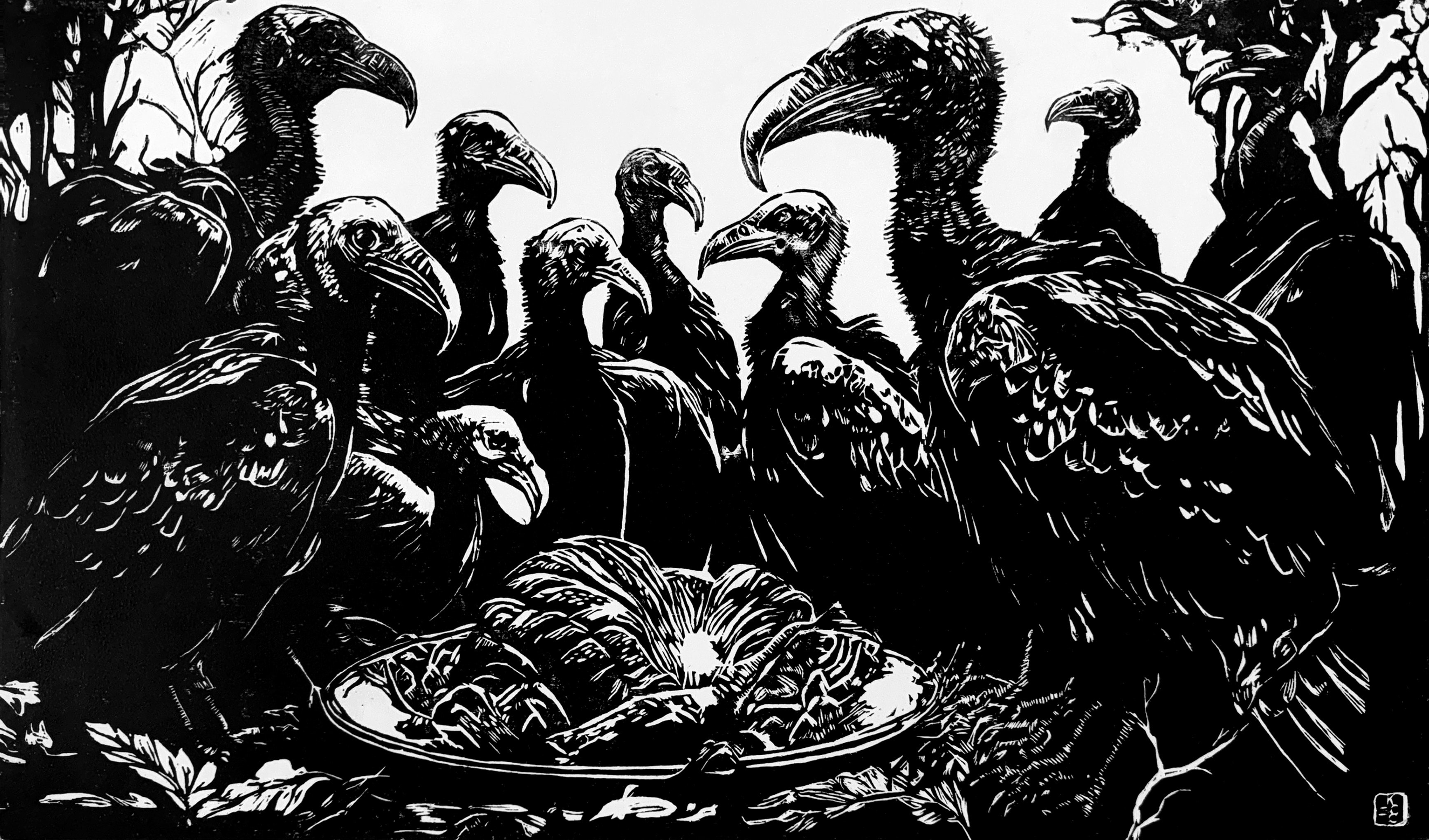 Turkey Vulture Feast