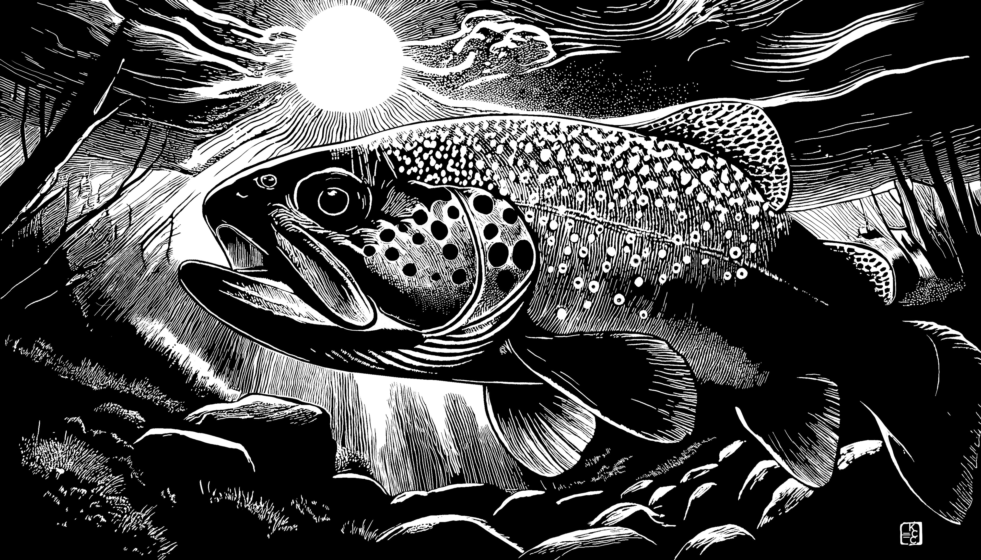 Brook Trout