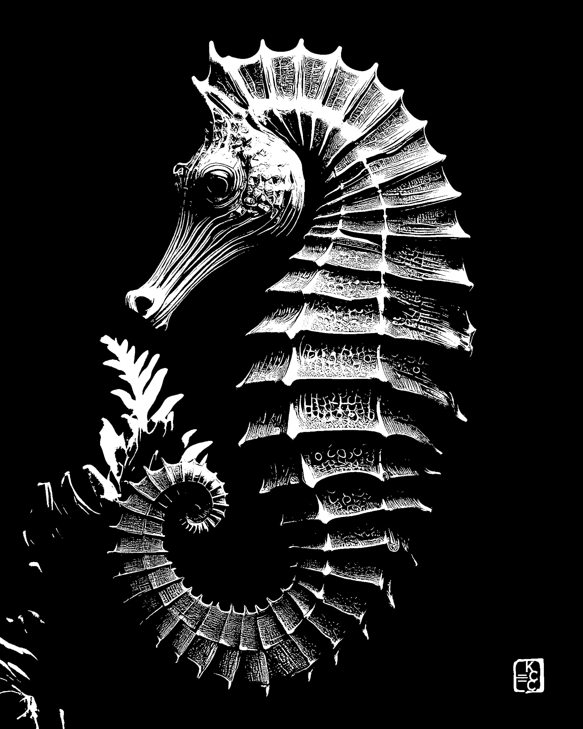 Sea Horse