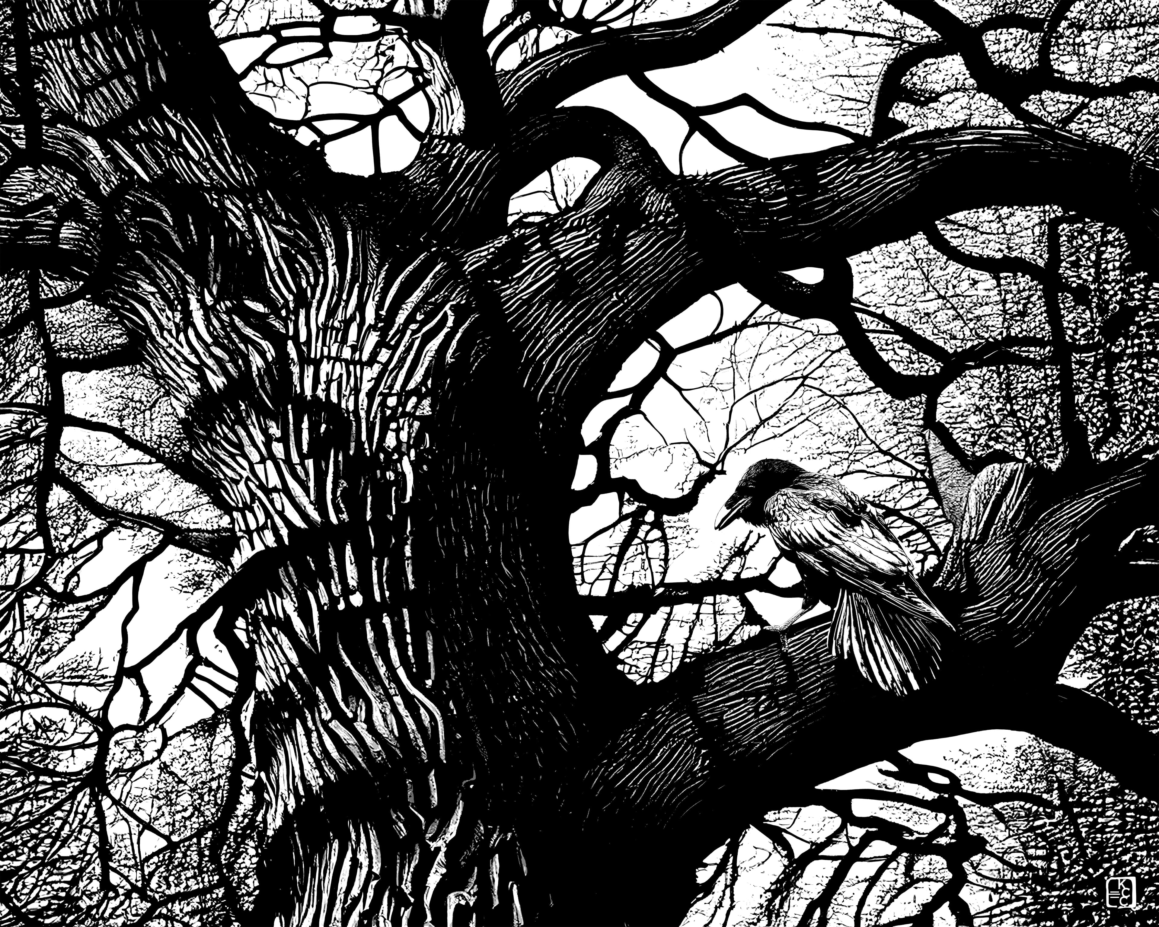 Bark