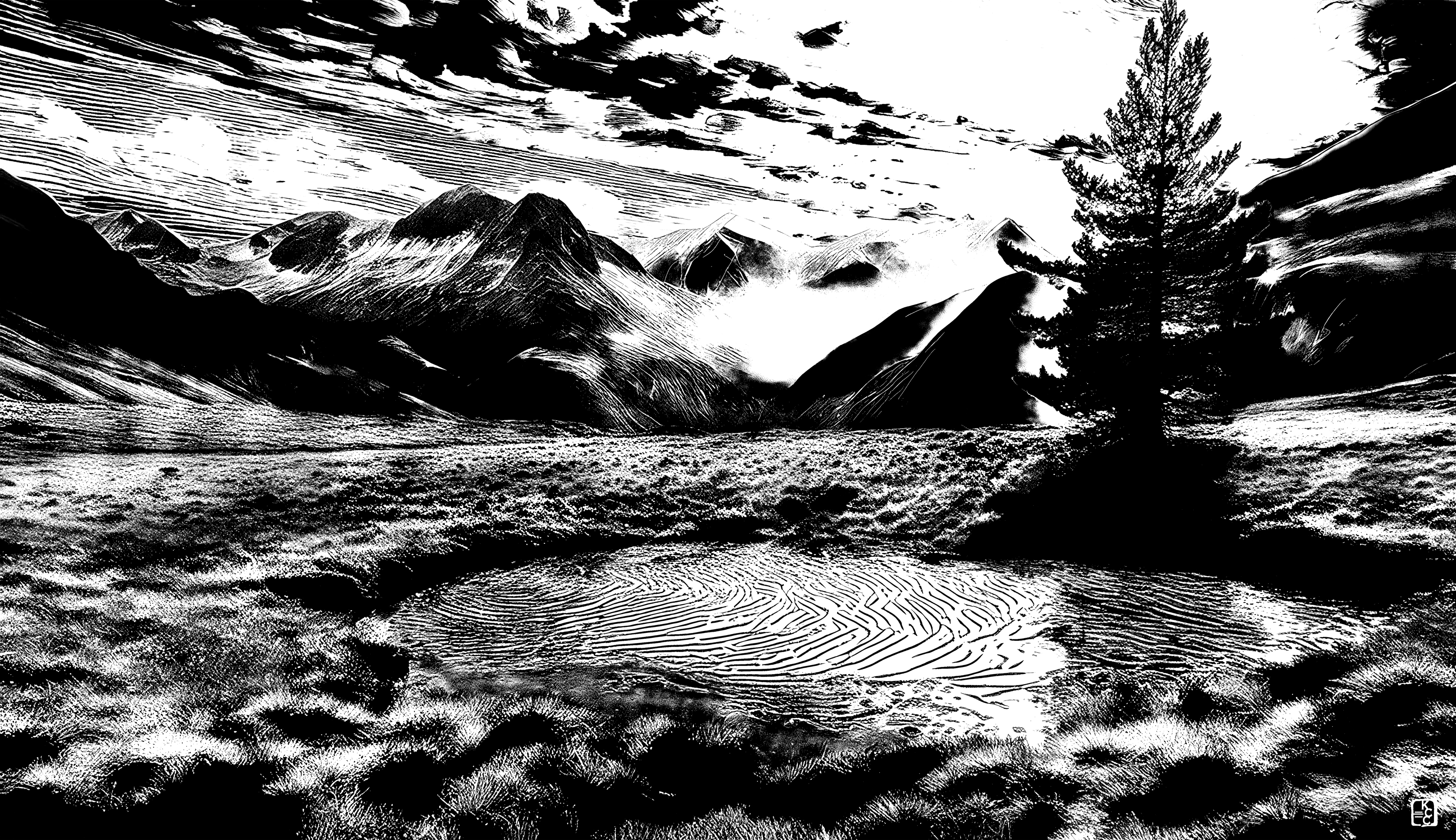 Treatment Pond