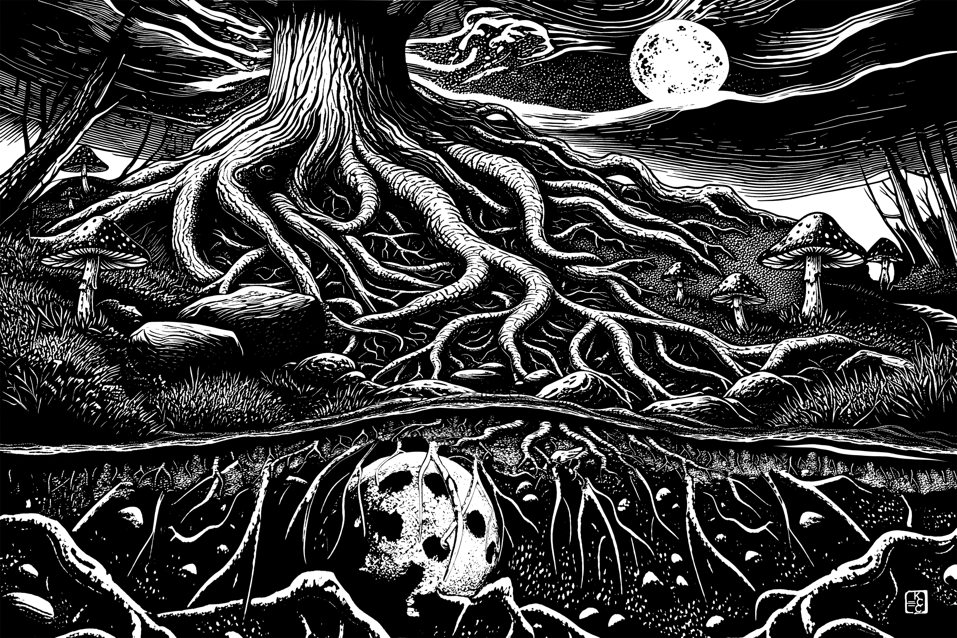 Root Spheres #1