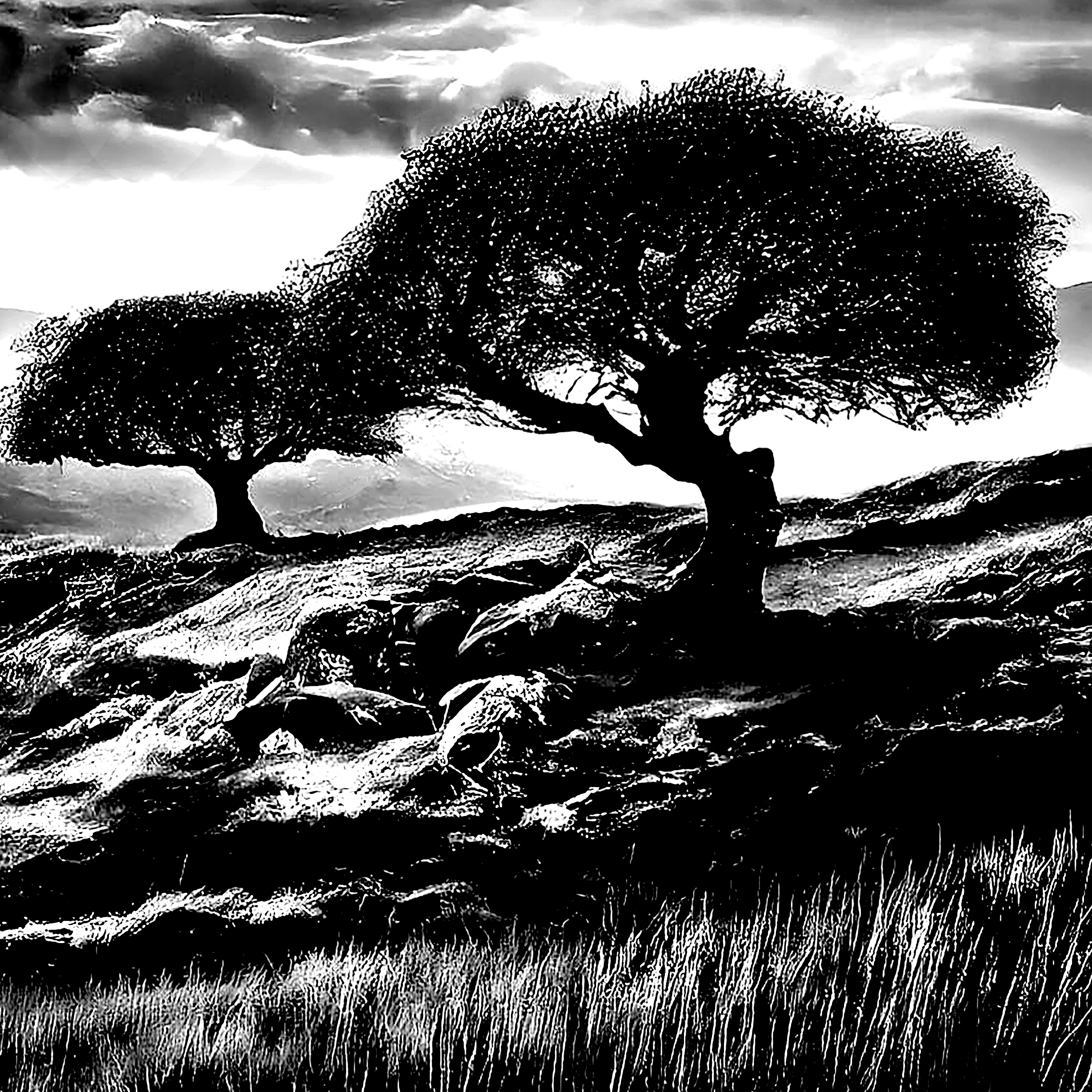More Words about the Geographic Memory Series