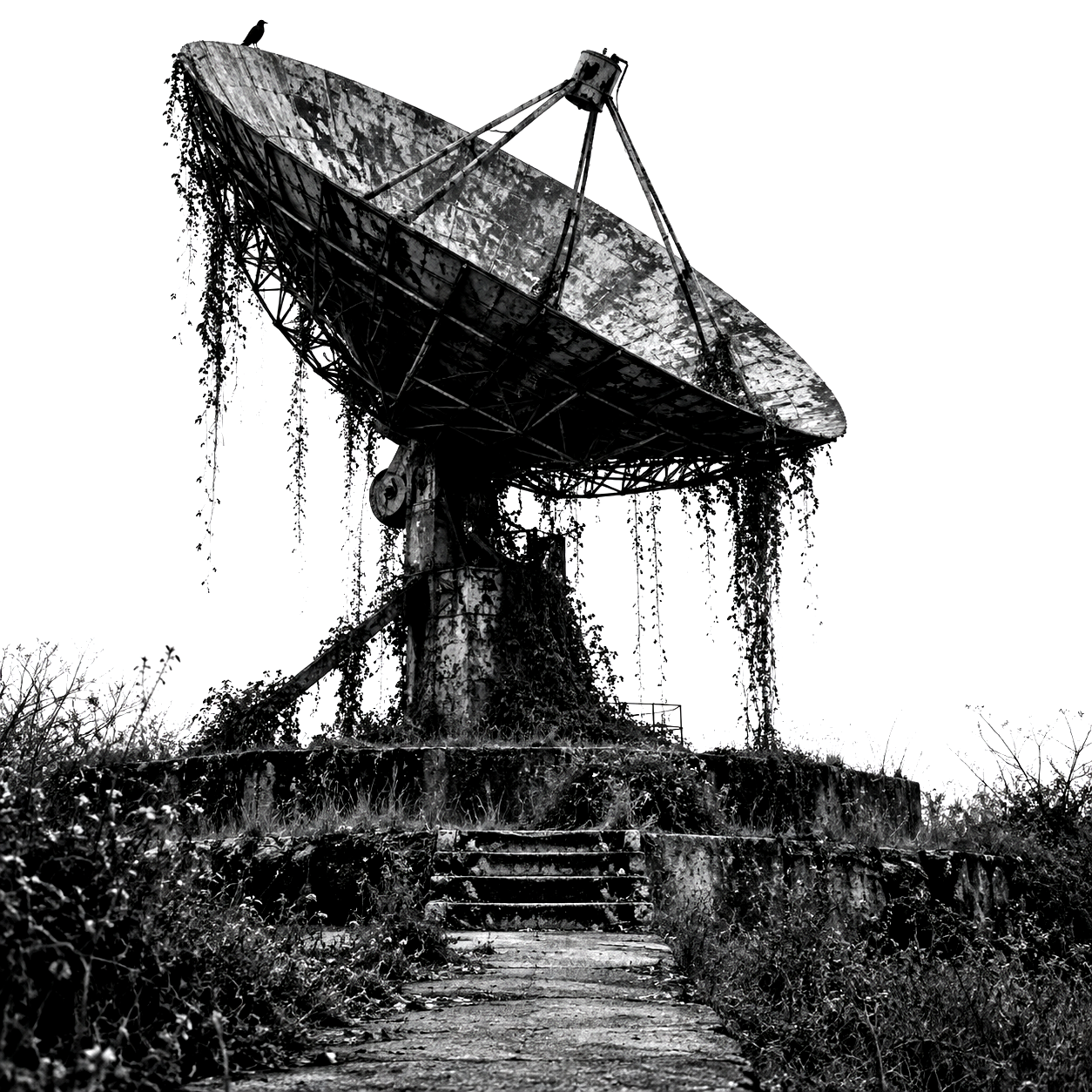 Machines or Shrines