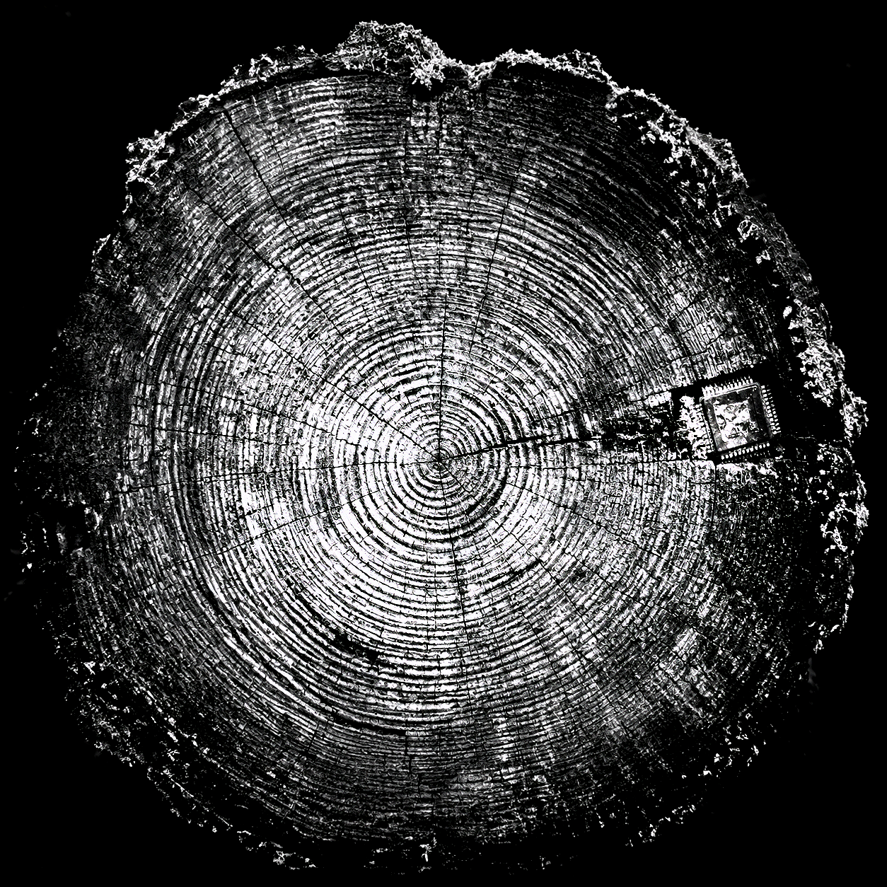 The Scale of Time